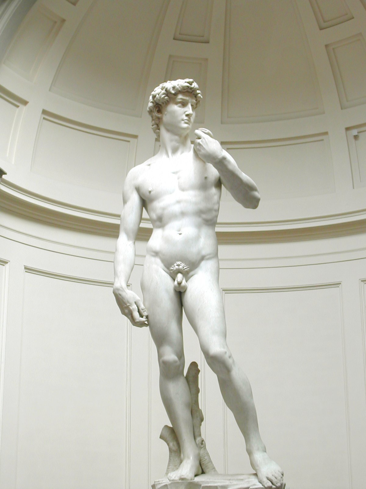 Michelangelo's David, Florence, Italy