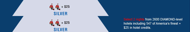Silver Level